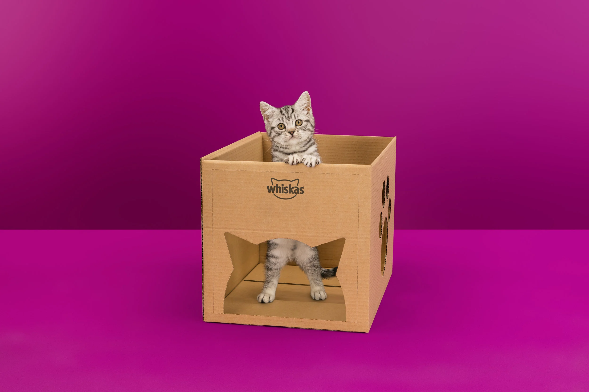 Whiskas playbox hot sale